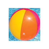 Swimline 24" Panel Beach Ball