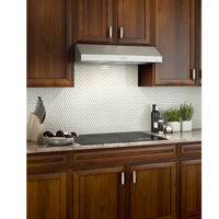 Broan-Nutone BCDA130SS Glacier 30-Inch Under-Cabinet Range Hood 300 Max Blower CFM Stainless Steel - PureFilters.ca