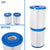 Unicel C-4405 - Replacement Pool Filter Cartridge For Rainbow DSF-50, Waterway Plastics (2 Pack)