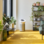 Dyson BP06 Big+Quiet Formaldehyde Air Purifier with HEPA Filter