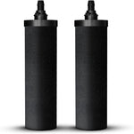 Phoenix Gravity Carbon Filter Elements (PQ-SZDM-ZQT1) - PureFilters.ca