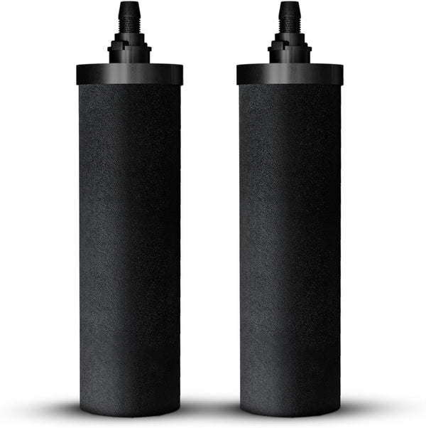 Phoenix Gravity Carbon Filter Elements (PQ-SZDM-ZQT1) - PureFilters.ca