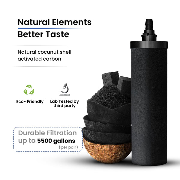 Phoenix Gravity Carbon Filter Elements (PQ-SZDM-ZQT1) - PureFilters.ca