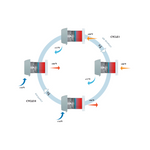 Vents-US RW1-50-2-Expert Energy Recovery Ventilator - PureFilters.ca