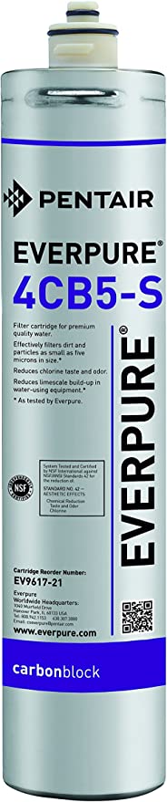 Pentair Everpure 4CB5-S Coffee Maker Water Filter Cartridge